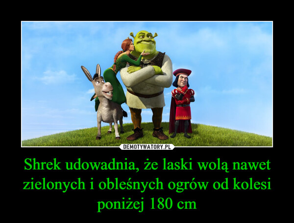 Shrek udowadnia, że laski wolą nawet zielonych i obleśnych ogrów od kolesi poniżej 180 cm