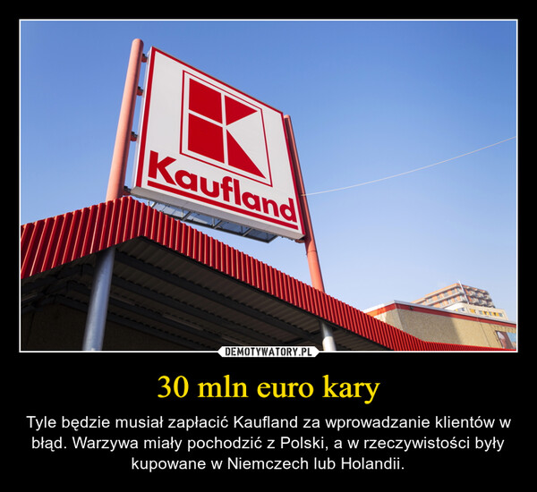 30 mln euro kary – Tyle będzie musiał zapłacić Kaufland za wprowadzanie klientów w błąd. Warzywa miały pochodzić z Polski, a w rzeczywistości były kupowane w Niemczech lub Holandii. 