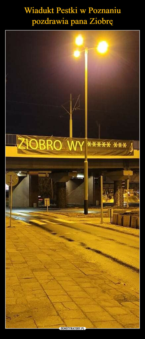Wiadukt Pestki w Poznaniu pozdrawia pana Ziobrę