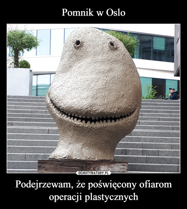 Pomnik w Oslo Podejrzewam, że poświęcony ofiarom operacji plastycznych
