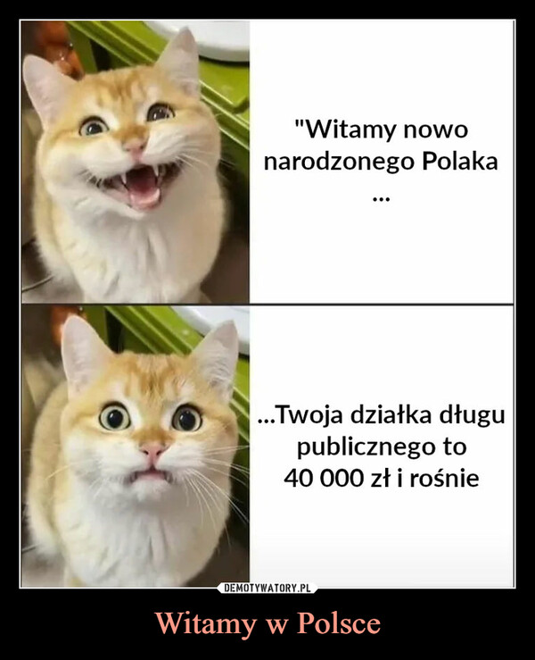 Witamy w Polsce –  