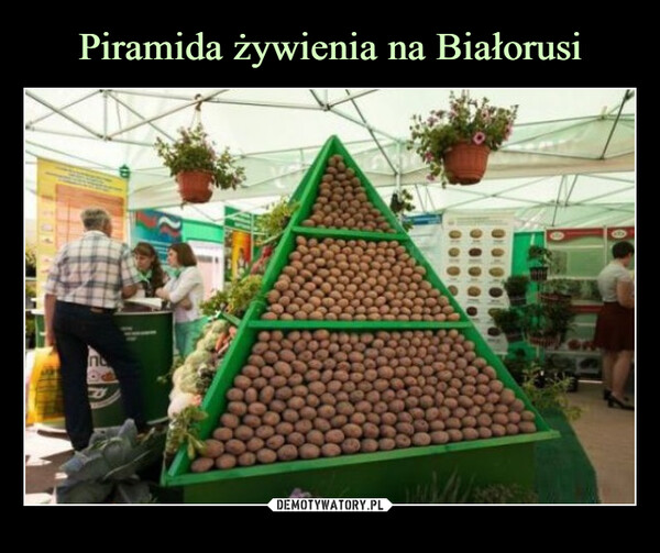 Piramida żywienia na Białorusi