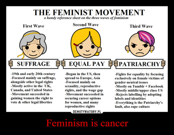 Feminism is cancer –  