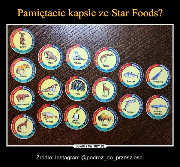 Pamiętacie kapsle ze Star Foods?