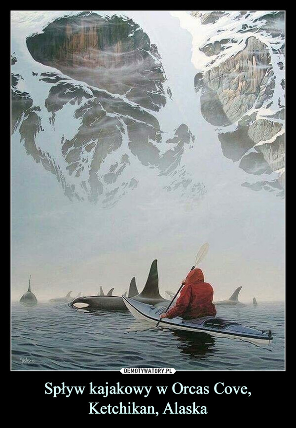 Spływ kajakowy w Orcas Cove, Ketchikan, Alaska –  