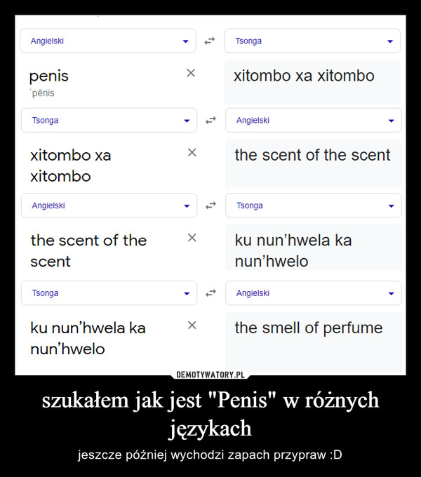 szukałem jak jest "Penis" w różnych językach