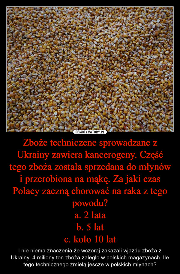 Zboże techniczene sprowadzane z Ukrainy zawiera kancerogeny. Część tego zboża została sprzedana do młynów i przerobiona na mąkę. Za jaki czas Polacy zaczną chorować na raka z tego powodu?
a. 2 lata
b. 5 lat
c. kolo 10 lat