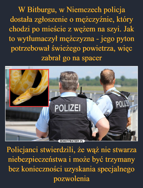 W Bitburgu, w Niemczech policja dostała zgłoszenie o mężczyźnie, który chodzi po mieście z wężem na szyi. Jak to wytłumaczył mężczyzna - jego pyton potrzebował świeżego powietrza, więc zabrał go na spacer Policjanci stwierdzili, że wąż nie stwarza niebezpieczeństwa i może być trzymany bez konieczności uzyskania specjalnego pozwolenia
