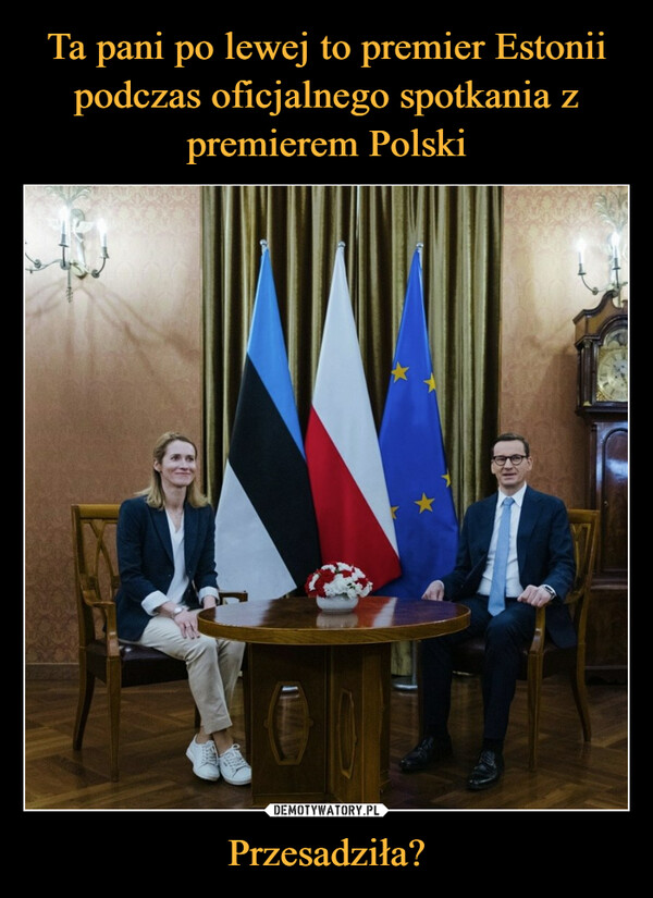 Ta pani po lewej to premier Estonii podczas oficjalnego spotkania z premierem Polski Przesadziła?