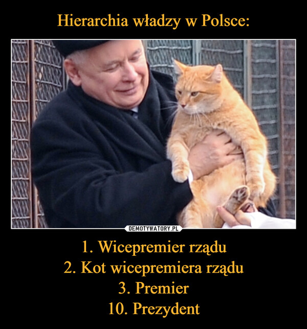 Hierarchia władzy w Polsce: 1. Wicepremier rządu
2. Kot wicepremiera rządu
3. Premier
10. Prezydent