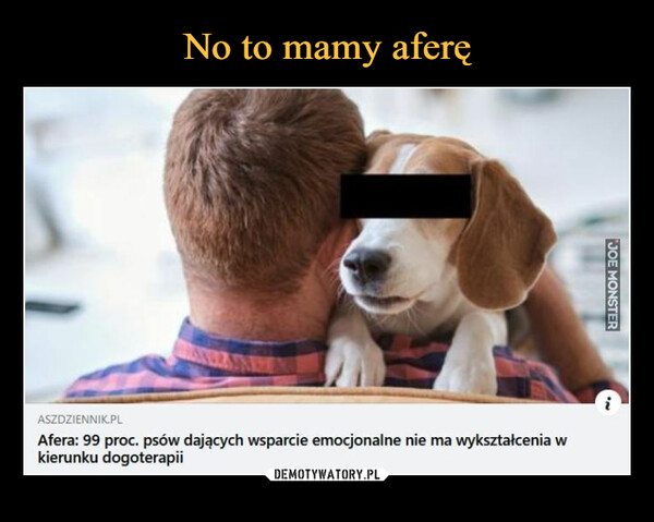  –  ASZDZIENNIK.PLAfera: 99 proc. psów dających wsparcie emocjonalne nie ma wykształcenia wkierunku dogoterapiiJOE MONSTER'N