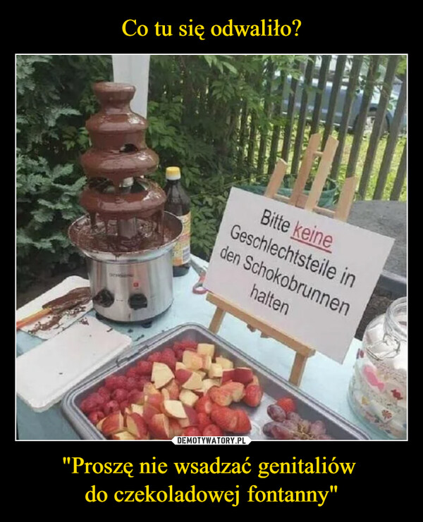 "Proszę nie wsadzać genitaliów do czekoladowej fontanny" –  Bitte keineGeschlechtsteile inden Schokobrunnenhalten