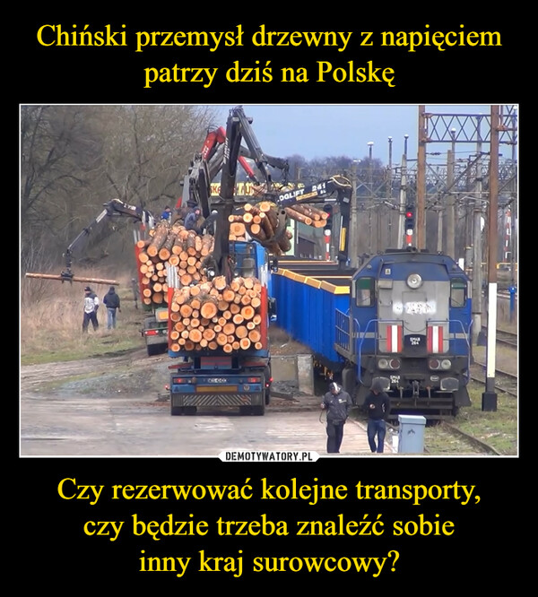 Chiński przemysł drzewny z napięciem patrzy dziś na Polskę Czy rezerwować kolejne transporty,
czy będzie trzeba znaleźć sobie
inny kraj surowcowy?