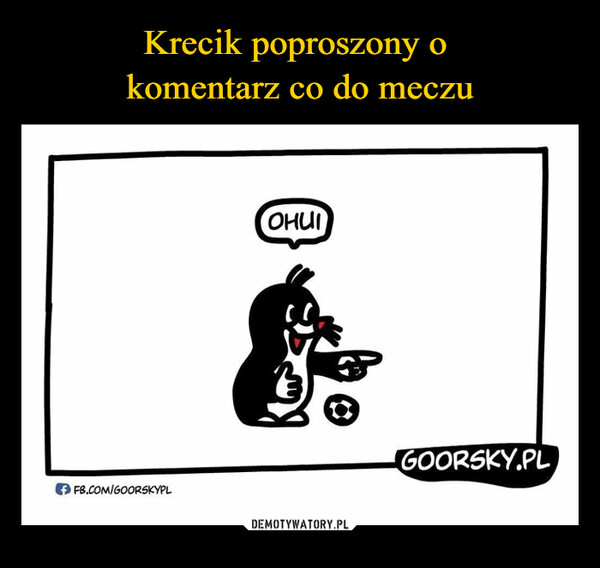  –  FB.COM/GOORSKYPLOHUIGOORSKY.PL