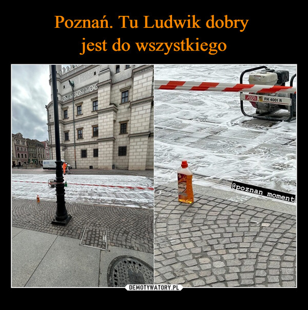 Poznań. Tu Ludwik dobry 
jest do wszystkiego