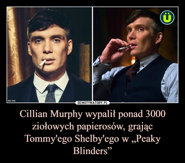 Cillian Murphy wypalił ponad 3000 ziołowych papierosów, grając Tommy'ego Shelby'ego w „Peaky Blinders” –  6BBC ONE