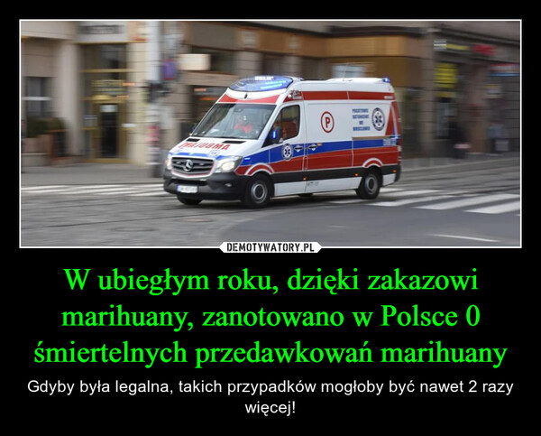 W ubiegłym roku, dzięki zakazowi marihuany, zanotowano w Polsce 0 śmiertelnych przedawkowań marihuany – Gdyby była legalna, takich przypadków mogłoby być nawet 2 razy więcej! ⑥ 三®23