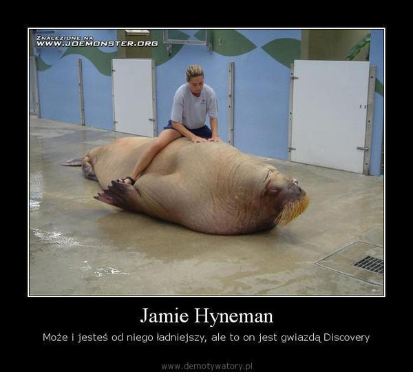 Jamie Hyneman – Może i jesteś od niego ładniejszy, ale to on jest gwiazdą Discovery  